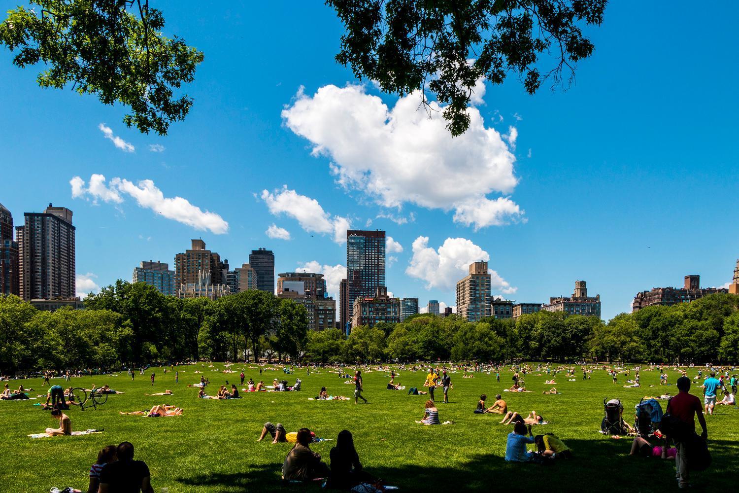 Location In Nyc! 1bd Steps From Park