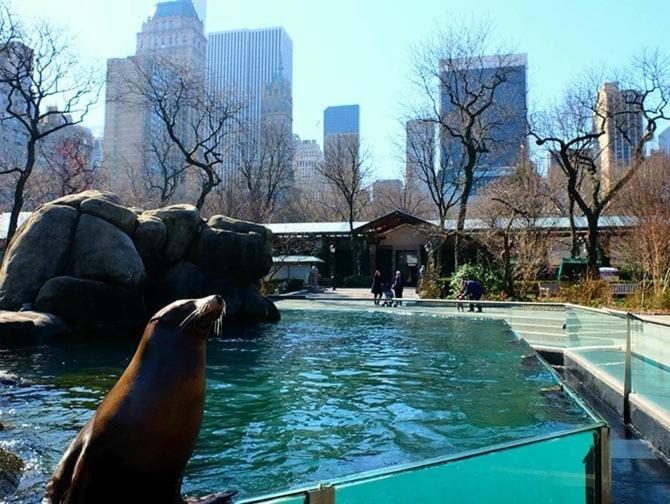 Apartment Location In Nyc! 1bd Steps From Park